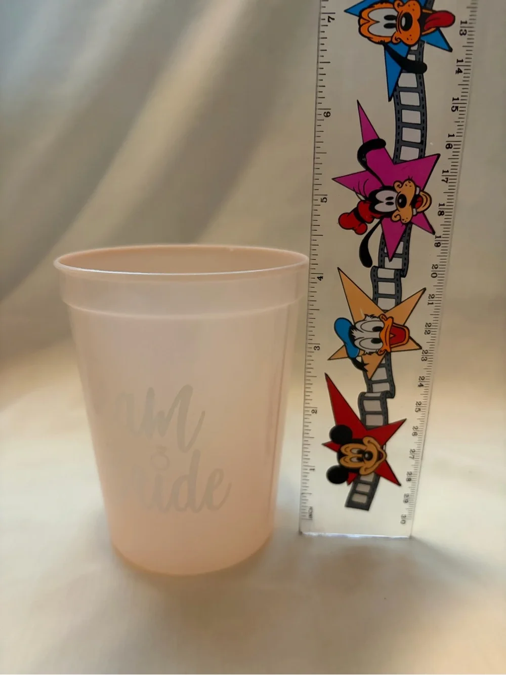 Team Bride Plastic Cups
